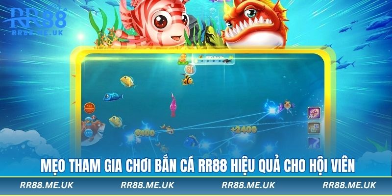 Mẹo tham gia chơi bắn cá rr88 hiệu quả cho hội viên