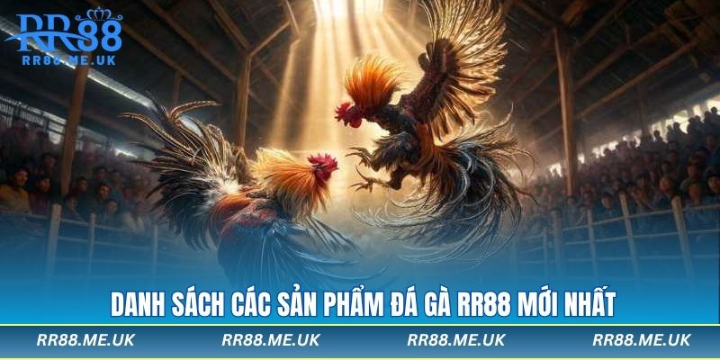 Danh sách các sản phẩm đá gà rr88 mới nhất