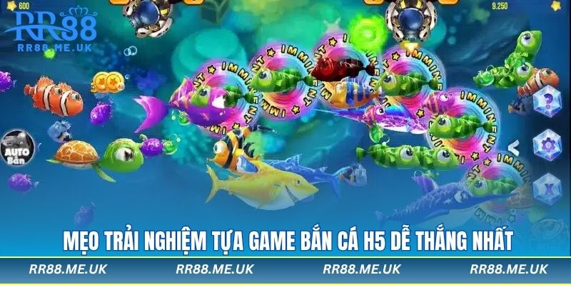 Mẹo trải nghiệm tựa game bắn cá H5 dễ thắng nhất